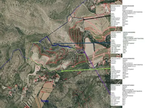 Finca rústica en calle Partida Barranco de Mona Sn